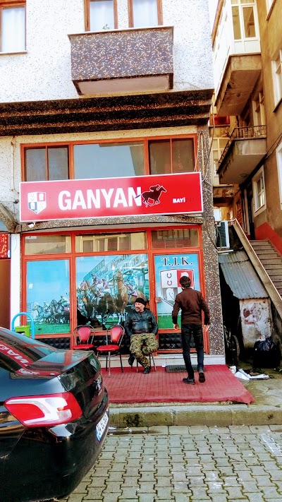 Ganyan Bayi