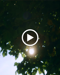 LB Tag - Tagarbejde 3