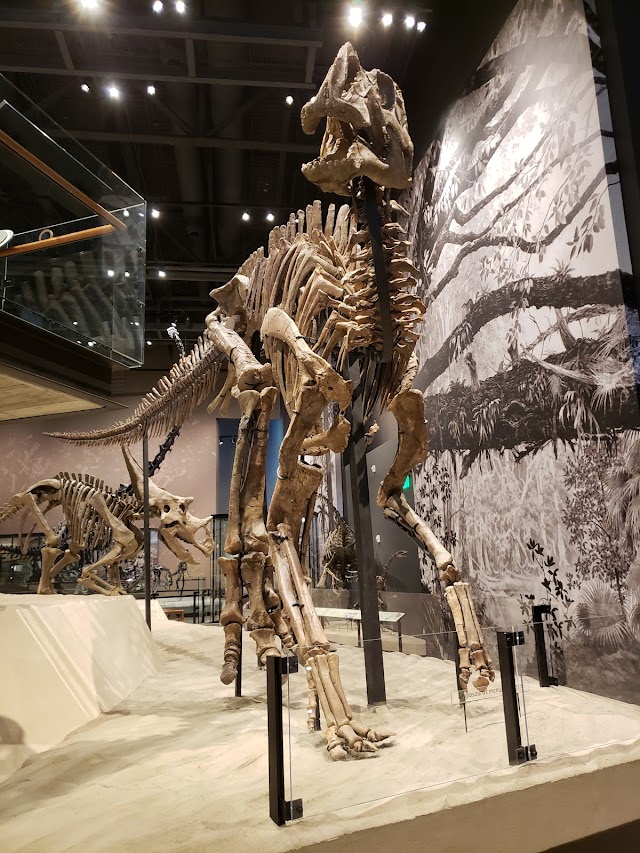 Natural History Museum of Utah