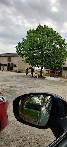 Cabinet vétérinaire Equin - Haras de la Garde - Thumbnail
