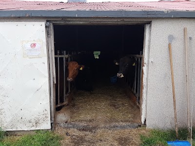 Photos of Guesthouse Egilsstadir