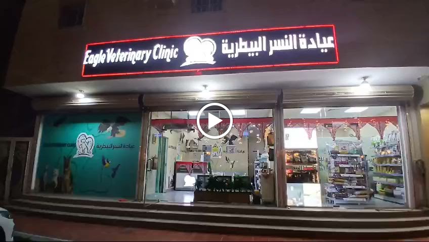 عيادة النسر البيطريه ينبع البحر - صورة 4