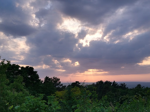 Shurtleff Nature Preserve - Thumbnail