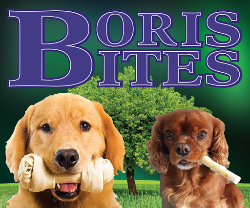 Borisbites B.V. - Thumbnail