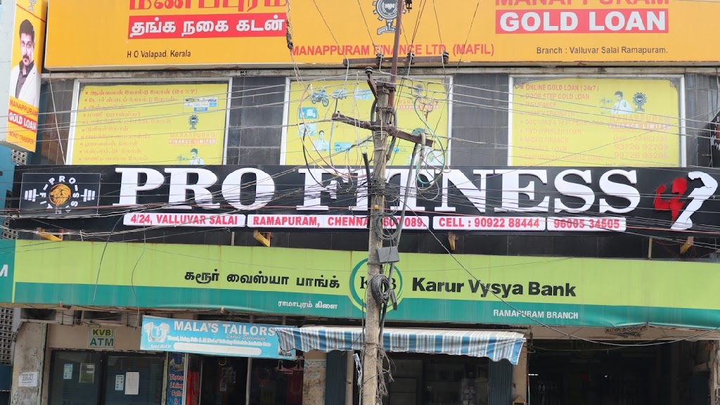 Pro Fitness
