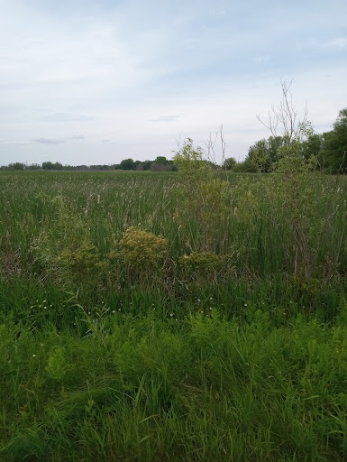 Mascoutin Valley State Park Trail