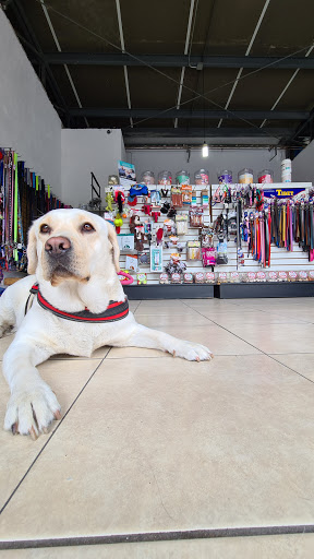 Clínica Veterinaria Hund Bud