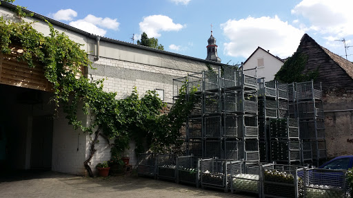 Weingut Frank Dietrich - Thumbnail