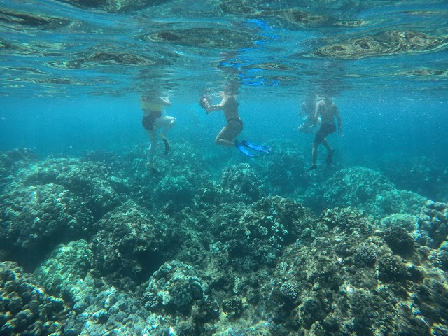 Honolua Bay Access Trail