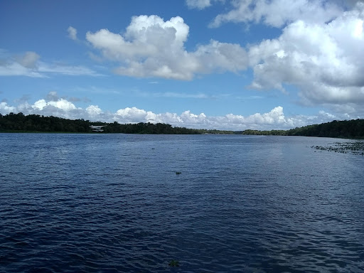 Bluffton Park - Visual