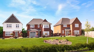 Redrow - Hazel Park