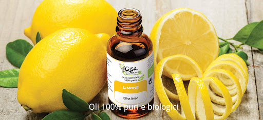 Gisa Wellness Logo