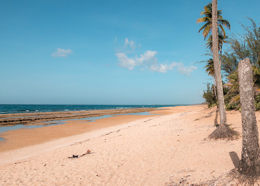Playa Chatarra Logo