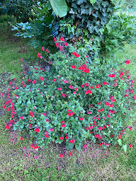 Photo n°18 de Les Chambres d'Agath'ânes - Ganac, Ariège à Ganac (Chambre d'hôtes)