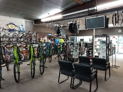 Webster Bicycle - Visual