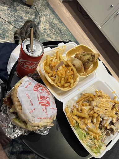 Photo 2 - Tandoori kebab 2