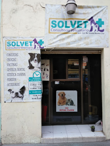 Consultorio veterinario Solvet