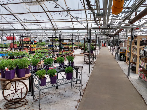 Lafayette Florist - Thumbnail