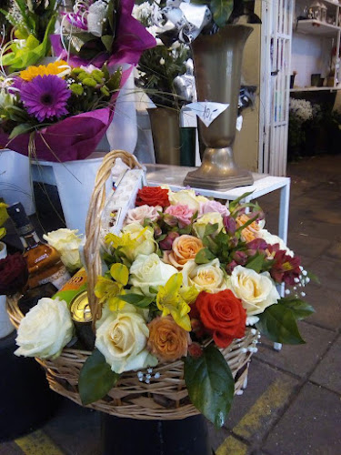 Kvety Vigh & Vigh - Kvetinárstvo