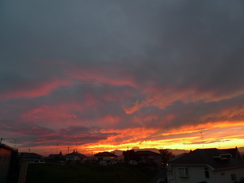 有限会社キョーシン