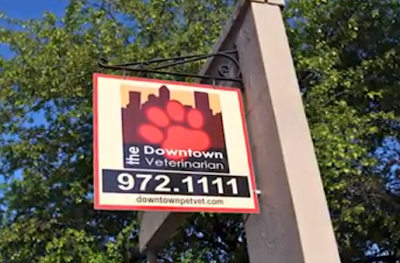 Photos of Downtown Veterinarian