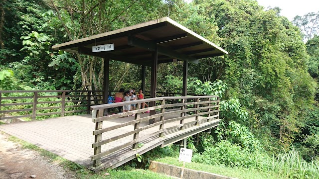 Macritchie Treetop Walk (Entrance)