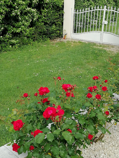 Photo de Mas Jubilé à Mons (30340)