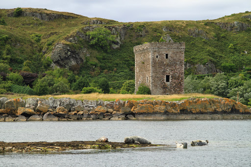 Little Cumbrae Castle