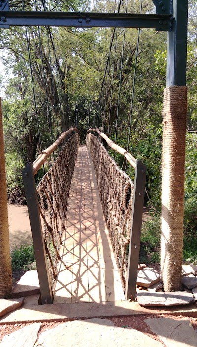 Photos of Mara Plains Camp