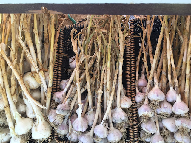 The Kingston Public Market by null