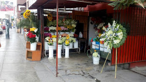 Floreria antuanell S.A. coronas y lagrimas florales entrega el mismo dia 0