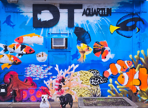 DTAquatics Incorporated