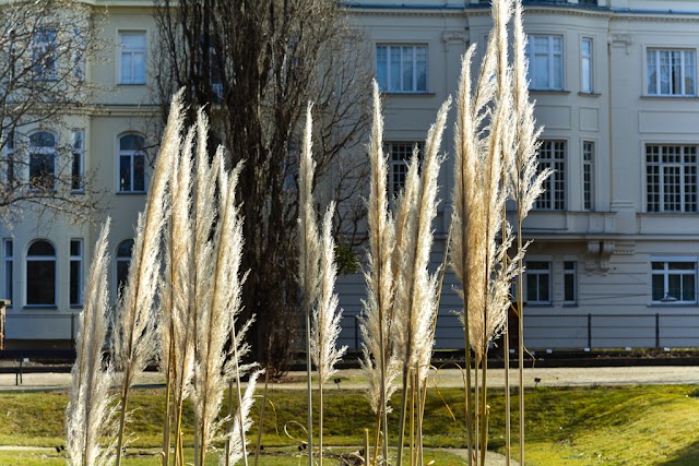 Botanischer Garten der Universität Wien