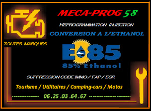 Photo n°10 de MECA-PROG58 spécialisé REPROGRAMMATION à Devay (Garage automobile)