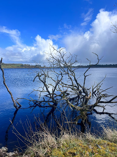 Lough Fea - Thumbnail