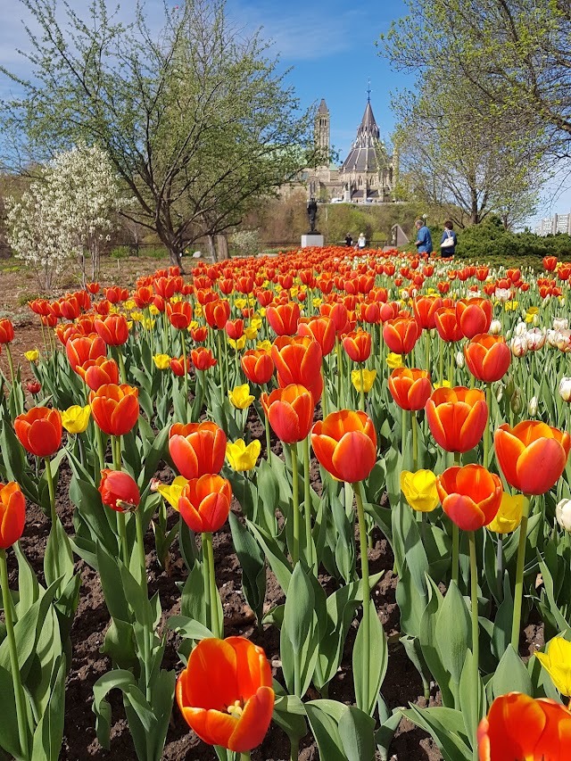 Major’s Hill Park