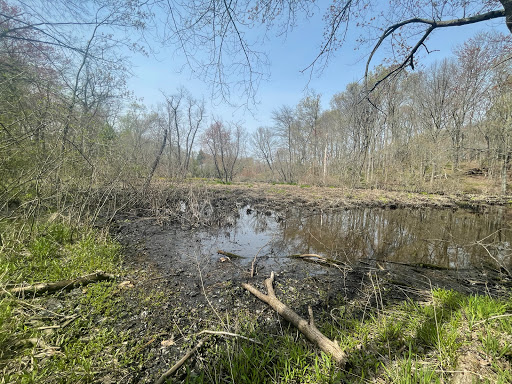 Louis C. Clark Sanctuary