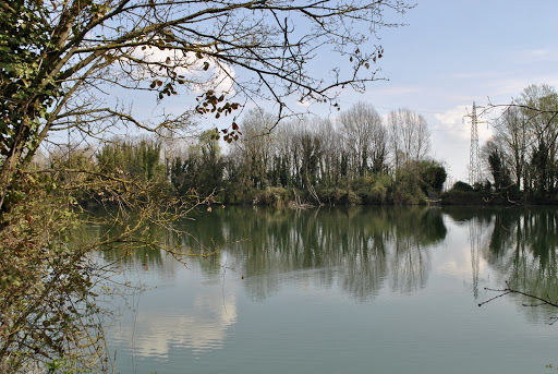 Fornace Violani - Italy