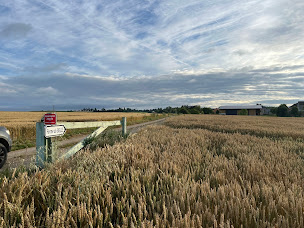 Photo n°1 de Ferme du Bellé à Neuilly-en-Thelle (Agriculteur)