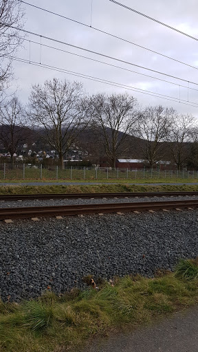 FC Alsbach e.V. - Visual