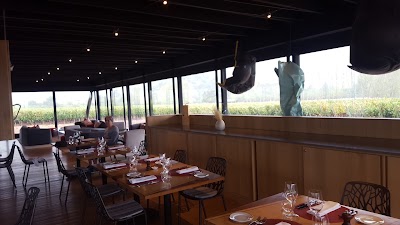 Photos of Vik Vi&ntilde;edo Hotel
