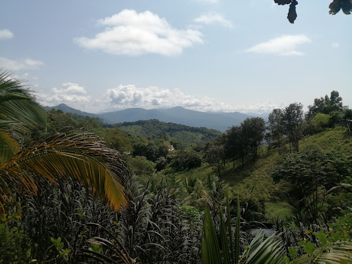 La Soledad, Mesones Hidalgo