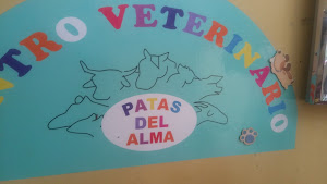 Centro Veterinario 