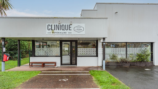Clinique vétérinaire de l'Océan - Urrugne - Sevetys Logo