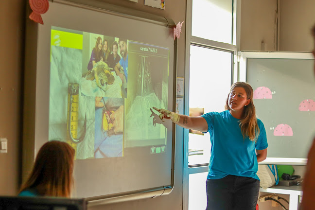 Κέντρο Αγγλικής Γλώσσας Ορίζοντες - Αργοστόλι