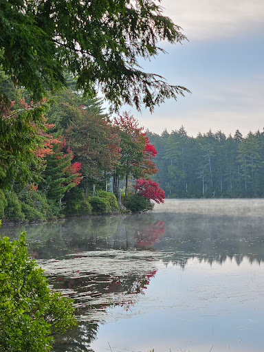 NYS Forest Campground - Thumbnail