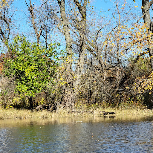 Dixon Nature Reserve - Thumbnail
