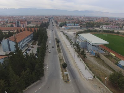 stadium