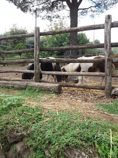 Il Villaggio La Casa Degli Ulivi - Thumbnail