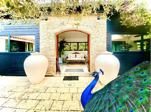 Photo de Villa Mer- Les Grenettes -île de Ré- Bord de Mer, Piscine 350 M2 6 Suites à Sainte-Marie-de-Ré (17740)